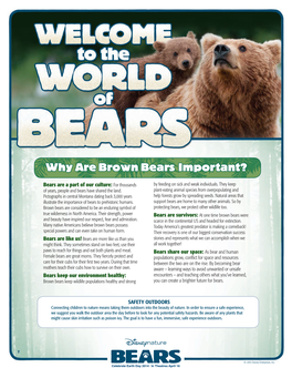 Why Are Brown Bears Important?