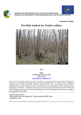 Pest Risk Analysis for Triadica Sebifera