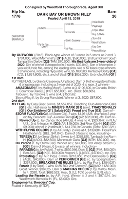 DARK BAY OR BROWN FILLY Barn 26 Hip No. 1776