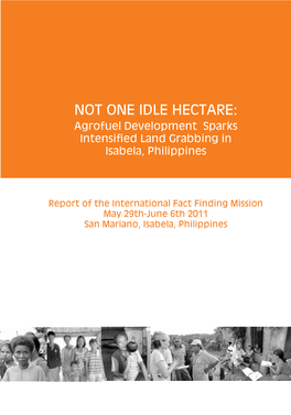 NOT ONE IDLE HECTARE: Agrofuel Development Sparks Intensified Land Grabbing in Isabela, Philippines