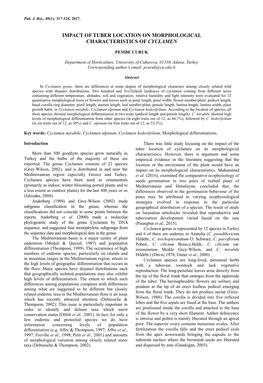 Impact of Tuber Location on Morphological Characteristics of Cyclamen