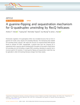 A Guanine-Flipping and Sequestration Mechanism for G-Quadruplex