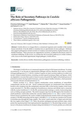 The Role of Secretory Pathways in Candida Albicans Pathogenesis