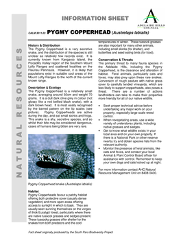 Information Sheet Copperhead Snake.Pdf