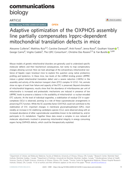 Adaptive Optimization of the OXPHOS Assembly Line Partially Compensates Lrpprc-Dependent Mitochondrial Translation Defects in Mice