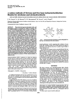 Vi Cation Radicals of Ferrous and Free Base Isobacteriochlorins: Models