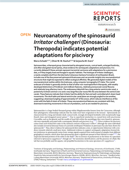 Neuroanatomy of the Spinosaurid Irritator Challengeri (Dinosauria: Theropoda) Indicates Potential Adaptations for Piscivory Marco Schade1,2 ✉ , Oliver W