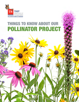 Pollinator Project