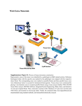 Supplementary Materials