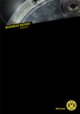 Bvb Business Report 2010/2011