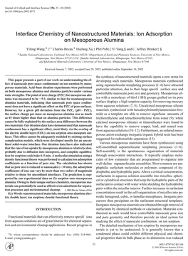 Ion Adsorption on Mesoporous Alumina