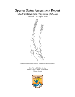 Species Status Assessment Report, Short's Bladderpod (Physaria