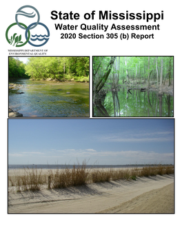 Mississippi 2020 Statewide 305(B) Water Quality Report