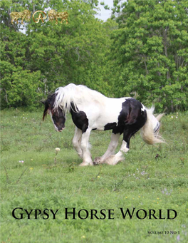 Gypsy Horse World Magazine Volume 10 No 1 Page 1 Gypsy Horse World Magazine Volume 10 No 1 Page 2 Copyright Ratcat Creative from the Editor Gypsy Horse World