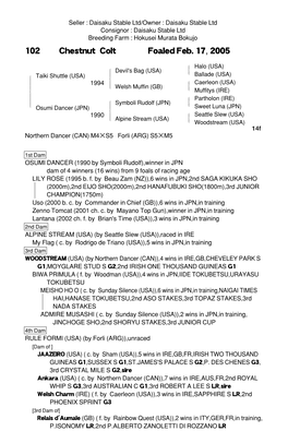 102 Chestnut Colt Foaled Feb. 17, 2005