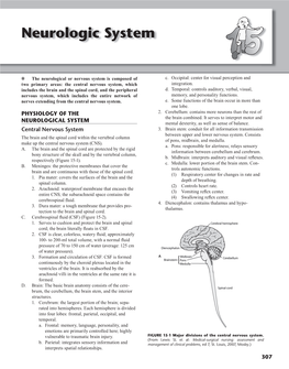 Neurologic System