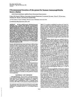 Chromosomal Location of the Genes for Human Immunoglobulin Heavy Chains (Mouse-Human Hybrids/Gene Regulation/Human Chromosomes/Human Isozymes) CARLO M