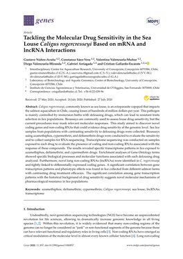 Tackling the Molecular Drug Sensitivity in the Sea Louse Caligus Rogercresseyi Based on Mrna and Lncrna Interactions