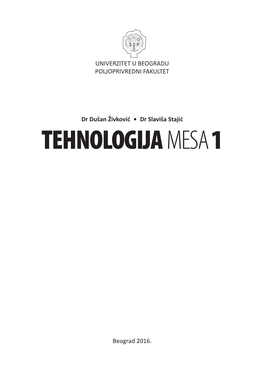 Tehnologija Mesa 1