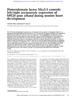 Homeodomain Factor Nkx2-5 .Controls Left/Right Asymmetric Expression of Bhlh Gene Ehand During Murine Heart Development