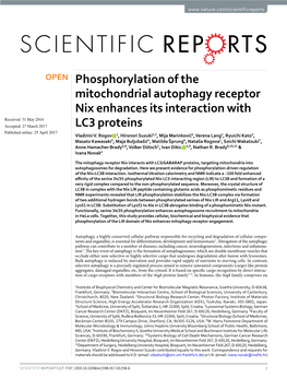Phosphorylation of the Mitochondrial Autophagy Receptor Nix Enhances
