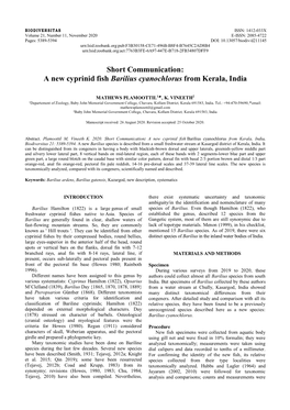 A New Cyprinid Fish Barilius Cyanochlorus from Kerala, India