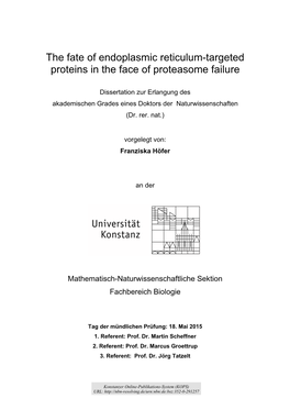 The Fate of Endoplasmic Reticulum-Targeted Proteins in the Face of Proteasome Failure