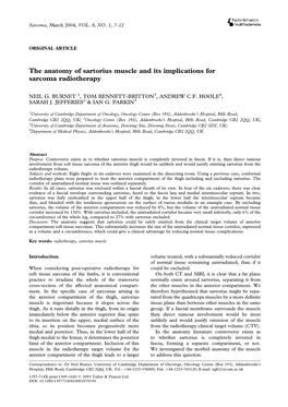 The Anatomy of Sartorius Muscle and Its Implications for Sarcoma Radiotherapy