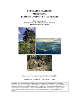 2007 Business Opportunities Report For