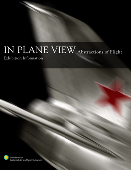 IN PLANE VIEW Abstractions of Flight Exhibition Information “Painting Has Come to an End