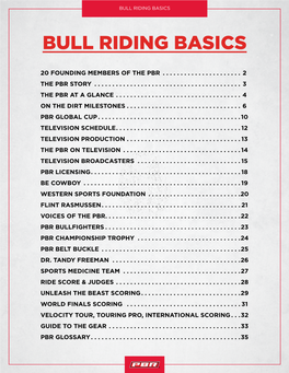 Bull Riding Basics