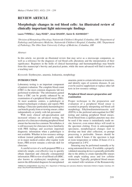 Morphologic Changes in Red Blood Cells: an Illustrated Review of Clinically Important Light Microscopic Findings