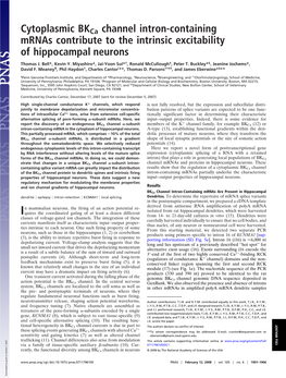 Cytoplasmic Bkca Channel Intron-Containing Mrnas Contribute to the Intrinsic Excitability of Hippocampal Neurons