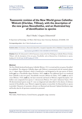 ﻿Taxonomic Revision of the New World Genus Callotillus Wolcott (Cleridae, Tillinae), with the Description of the New Genus