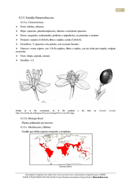 4.3.5. Familia Simaroubaceae 4.3.5.A