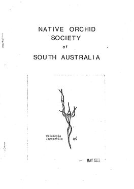 Native Orchid Society South Australia