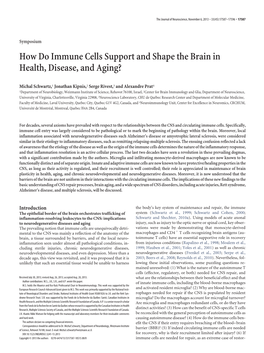 How Do Immune Cells Support and Shape the Brain in Health, Disease, and Aging?