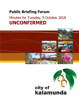 UNCONFIRMED Public Agenda Briefing Forum - 9 October 2018