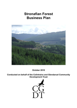 CGDT Business Plan