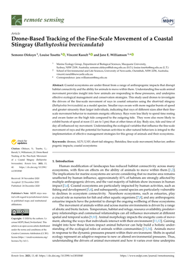 Drone-Based Tracking of the Fine-Scale Movement of a Coastal Stingray (Bathytoshia Brevicaudata)