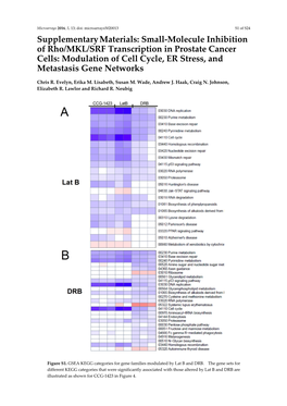 Supplementary Materials: Small-Molecule Inhibition of Rho