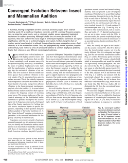 Convergent Evolution Between Insect and Mammalian Audition Fernando Montealegre-Z