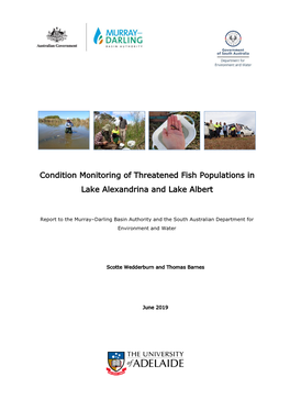 Condition Monitoring of Threatened Fish Populations in Lake Alexandrina and Lake Albert