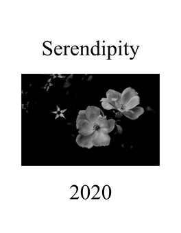 Serendipity 2020