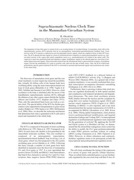 Suprachiasmatic Nucleus Clock Time in the Mammalian Circadian System