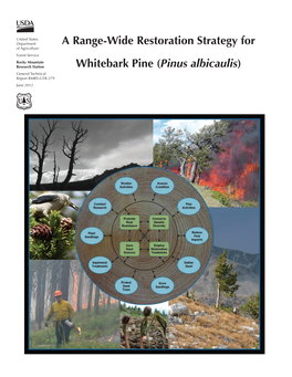 A Range-Wide Restoration Strategy for Whitebark Pine (Pinus Albicaulis)