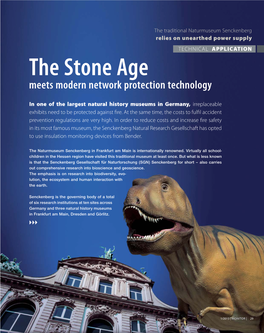 The Stone Age Meets Modern Network Protection Technology