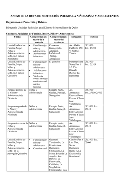 Anexo De La Ruta De Protección Integral a Niños, Niñas Y Adolescentes