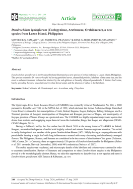 Dendrochilum Ignisiflorum (Coelogyninae, Arethuseae, Orchidaceae), a New Species from Luzon Island, Philippines