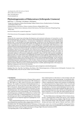 Phylomitogenomics of Malacostraca (Arthropoda: Crustacea)